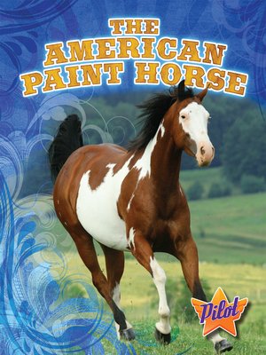 cover image of The American Paint Horse